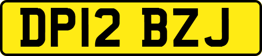 DP12BZJ