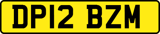 DP12BZM