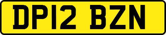 DP12BZN