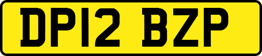 DP12BZP