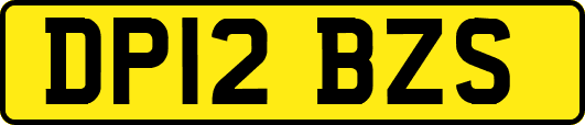 DP12BZS