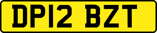 DP12BZT