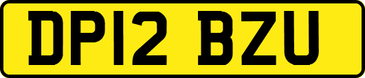 DP12BZU