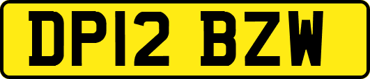 DP12BZW
