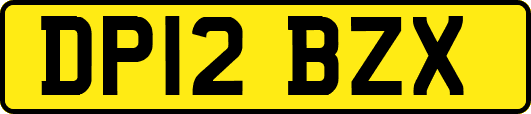 DP12BZX