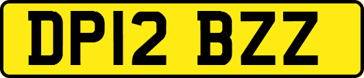 DP12BZZ