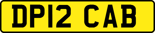 DP12CAB
