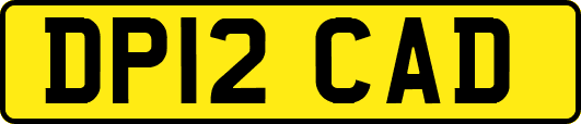 DP12CAD