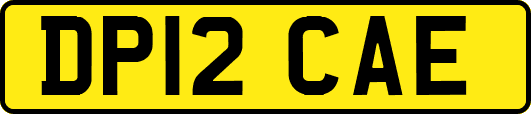 DP12CAE