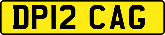 DP12CAG