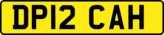 DP12CAH