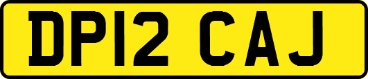 DP12CAJ