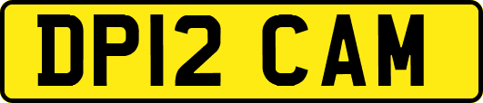 DP12CAM