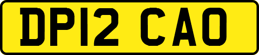 DP12CAO