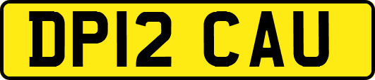 DP12CAU