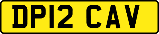 DP12CAV