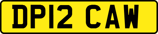DP12CAW