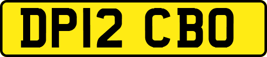 DP12CBO