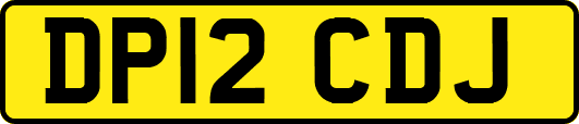 DP12CDJ