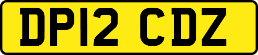 DP12CDZ