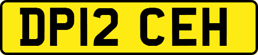 DP12CEH