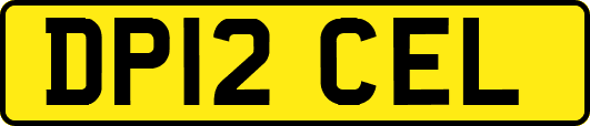 DP12CEL