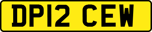 DP12CEW