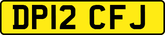 DP12CFJ