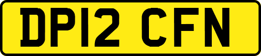 DP12CFN