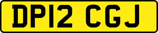 DP12CGJ