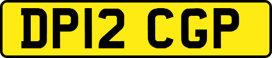 DP12CGP
