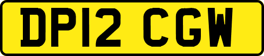 DP12CGW