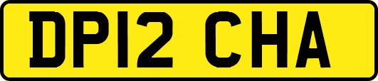 DP12CHA