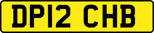 DP12CHB