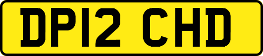 DP12CHD