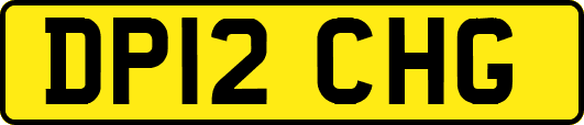 DP12CHG