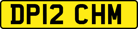 DP12CHM