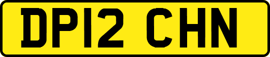 DP12CHN