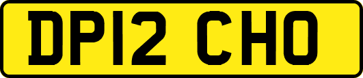 DP12CHO