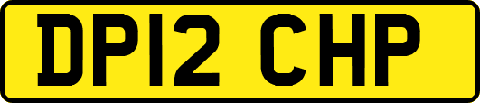 DP12CHP
