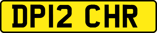DP12CHR