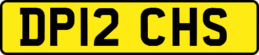 DP12CHS