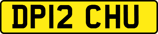 DP12CHU