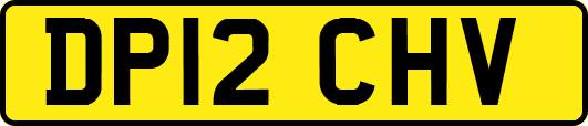 DP12CHV