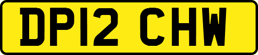 DP12CHW