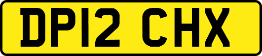DP12CHX