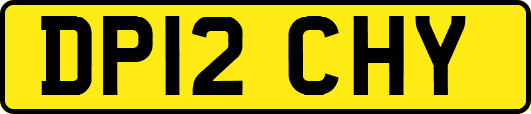DP12CHY