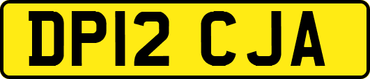 DP12CJA