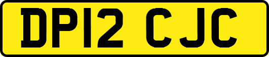 DP12CJC