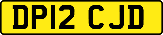 DP12CJD